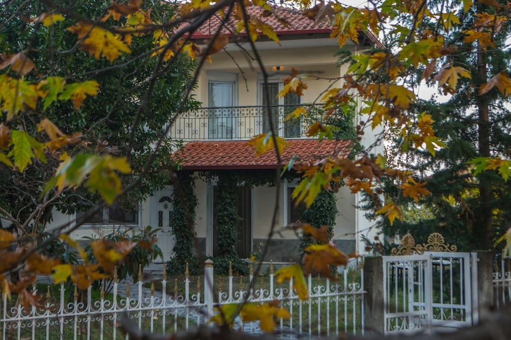 Woods Cottage Loutra Pozar Aridaia Megaplatanos Εξωτερικό φωτογραφία