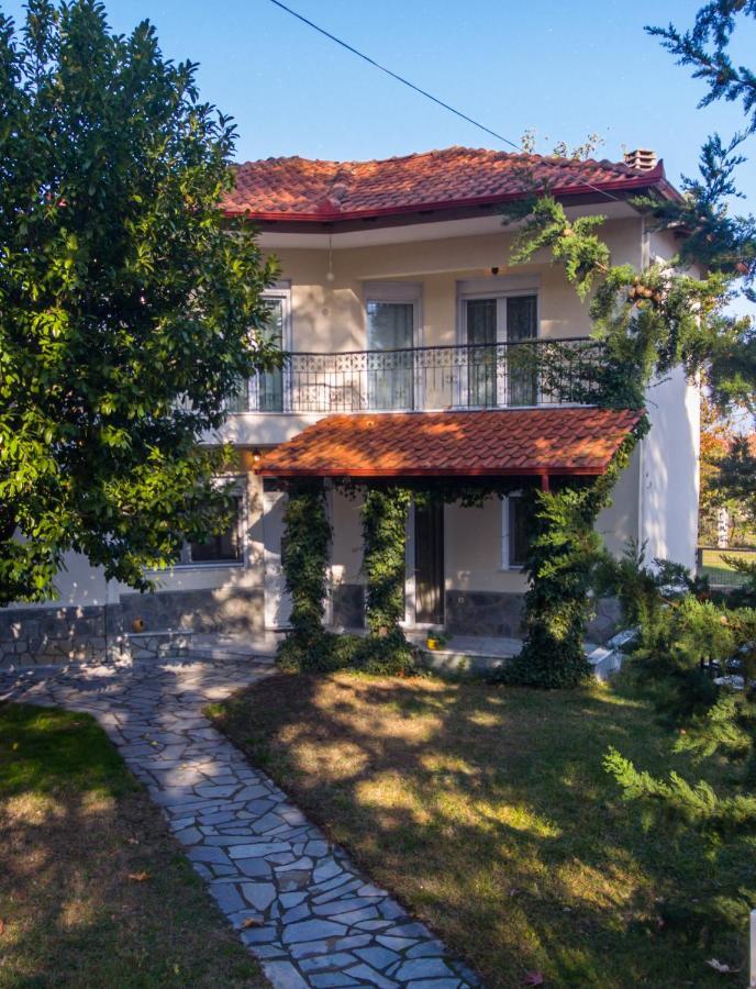 Woods Cottage Loutra Pozar Aridaia Megaplatanos Εξωτερικό φωτογραφία
